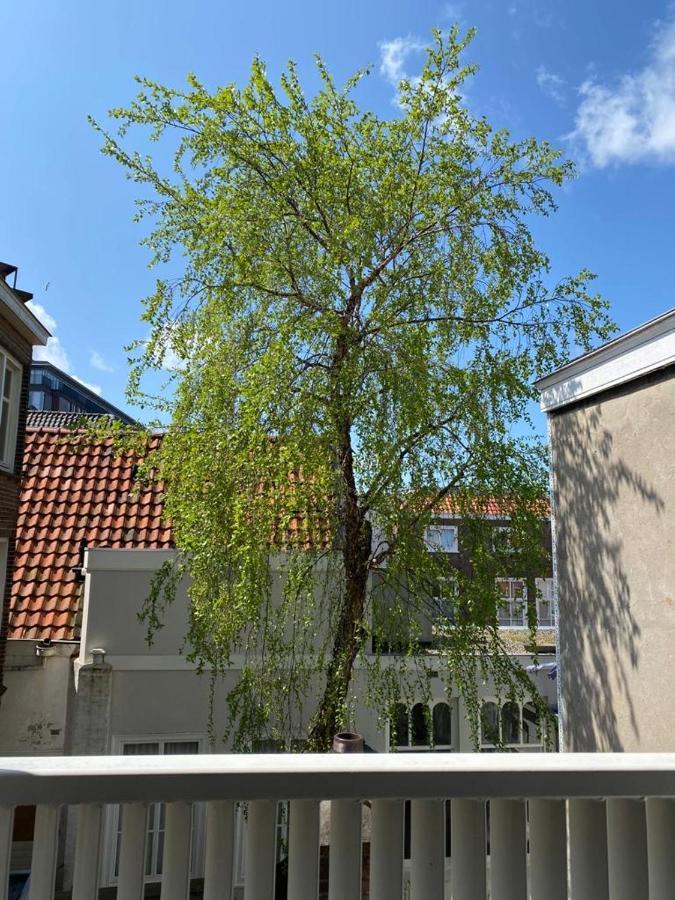 The Sunny Suite - R.Q.C. Haia Exterior foto